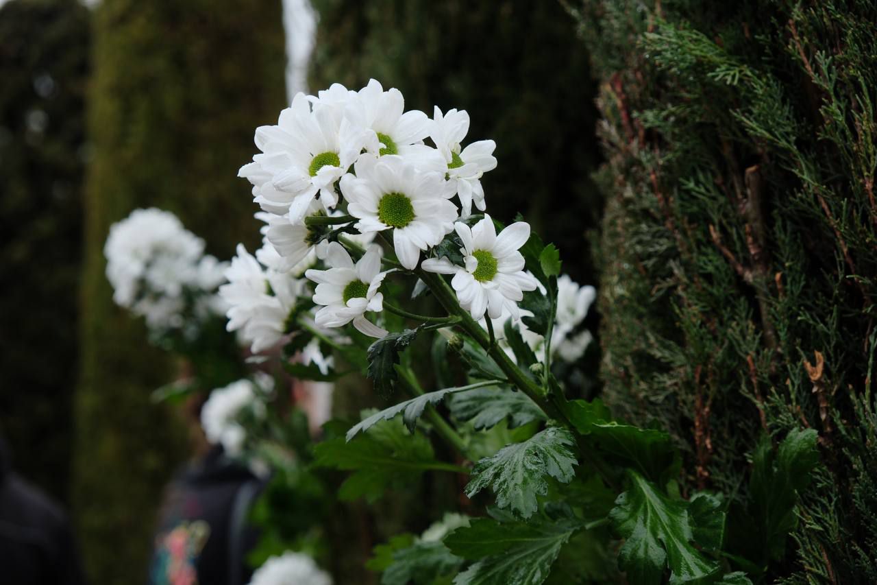 Homenaje a los fallecidos el 11M en el Bosque del Recuerdo
