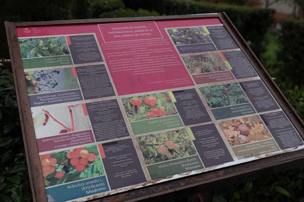 Plantas de las que se obtenían colores para los tapices.