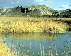 Río Guadalix