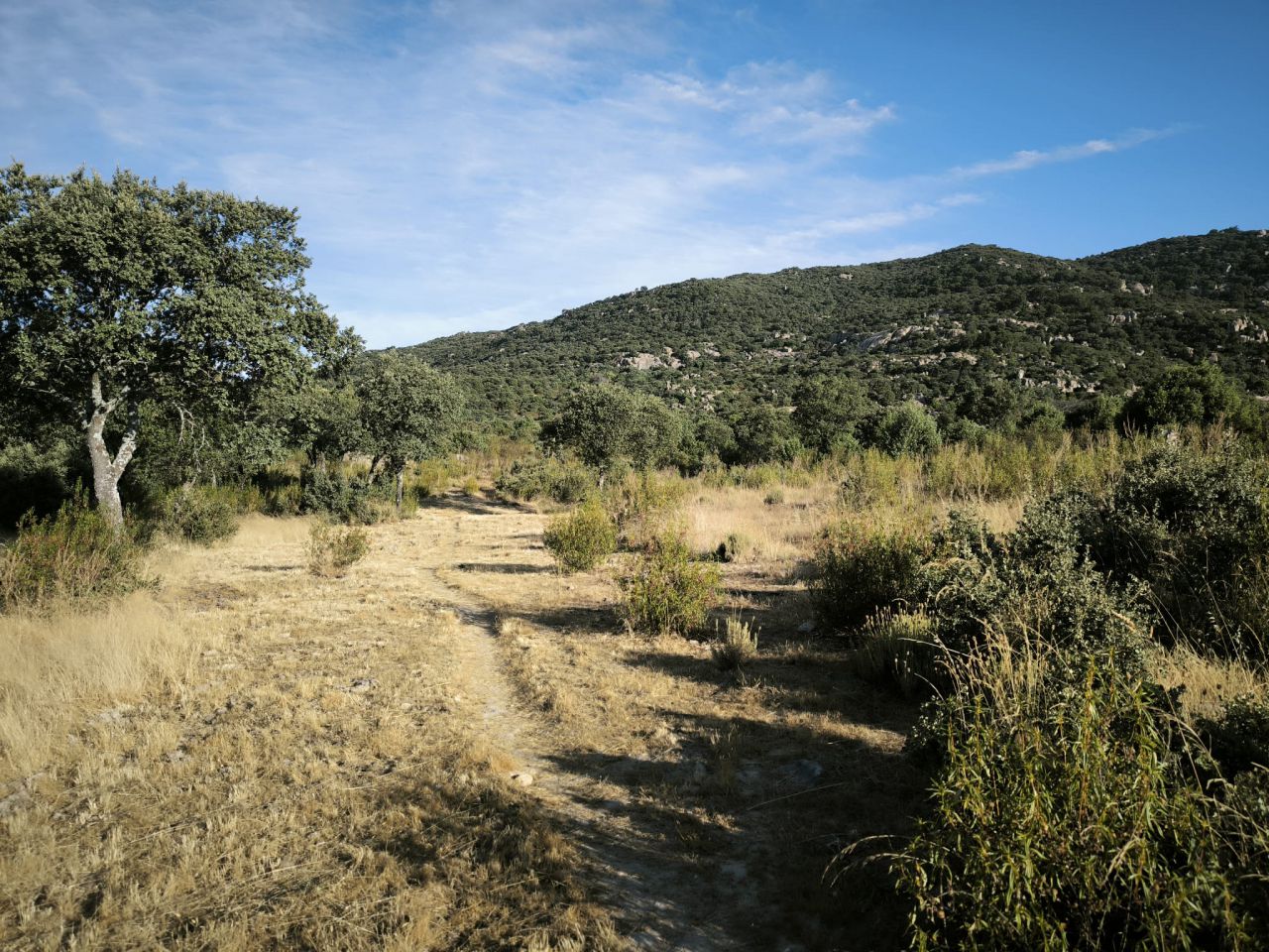 Alrededores de Hoyo de Manzanares