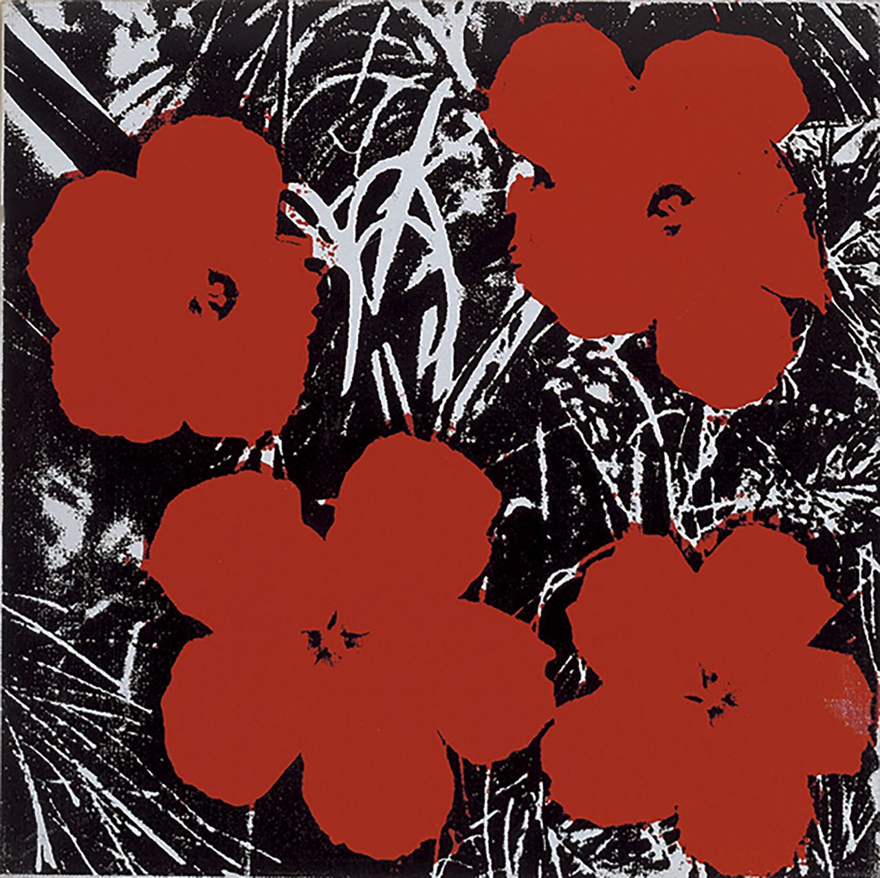 Flores, 1964
