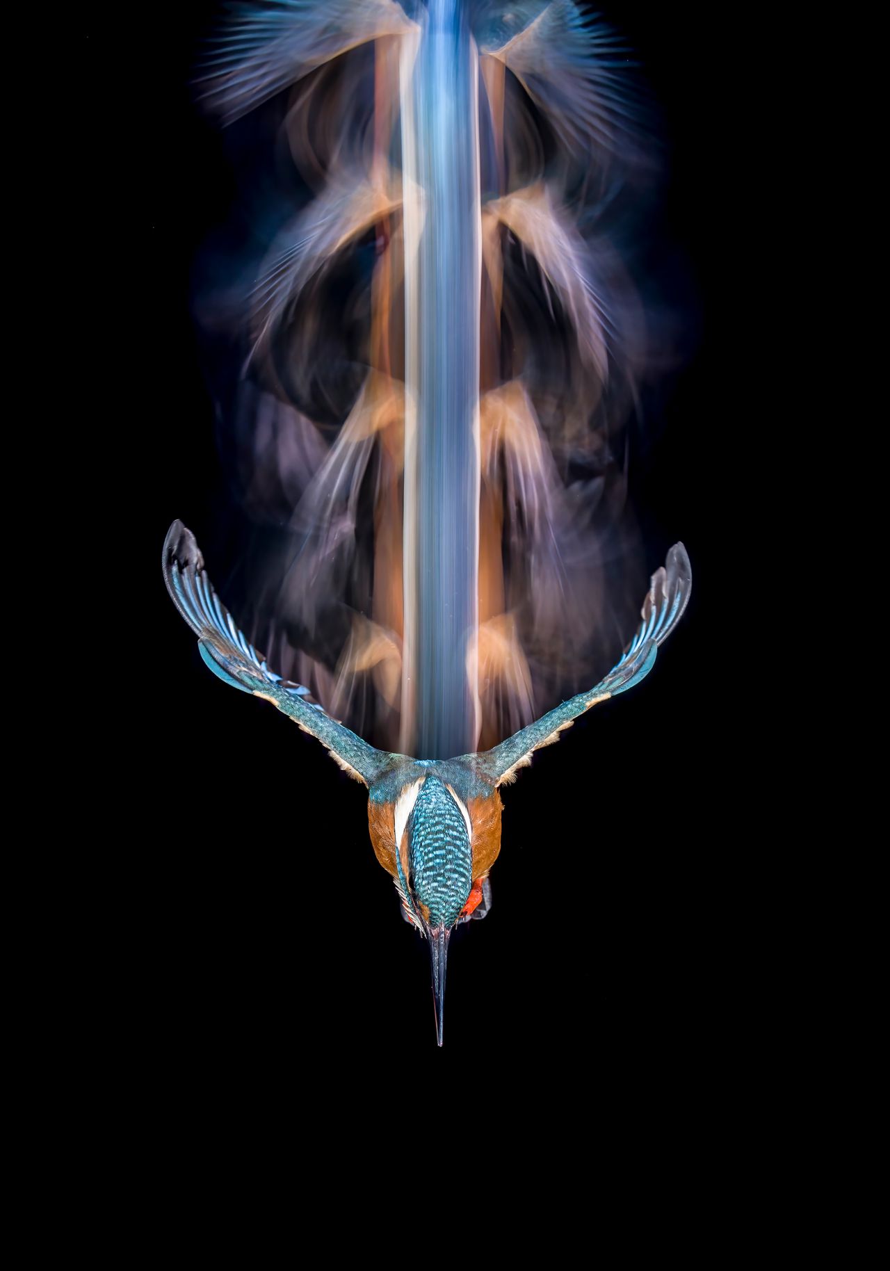 Medalla de bronce en la categoría Naturaleza y vida salvaje de la Madrileño participando en la categoría Comercial de la Wold Photography Cup 2026