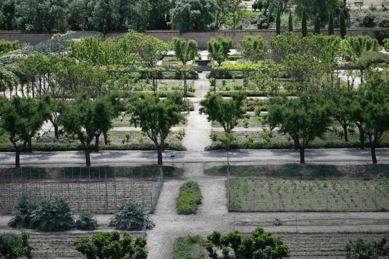 Jardines del Palacio del Infante Don Luis
