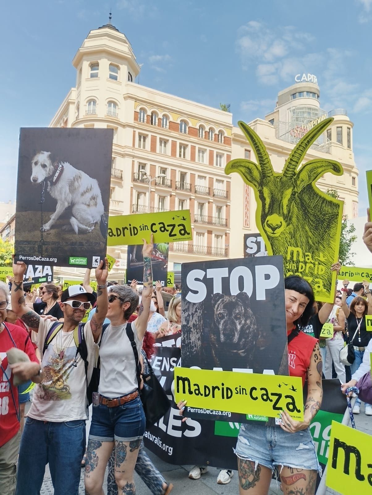La protesta, convocada por la plataforma Madrid sin Caza, ha reunido a cientos de personas para rechazar una norma que, según los organizadores, amplía los privilegios del sector cinegético frente a los derechos de la mayoría no cazadora, de los animales y de quienes disfrutan del medio natural.