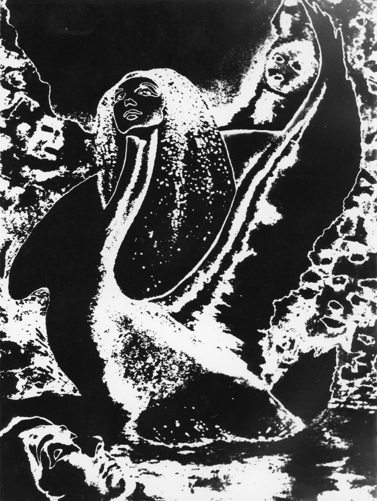Il cigno kosmico: Blanco y negro. 1,165 x 1,535 m. Solarización.