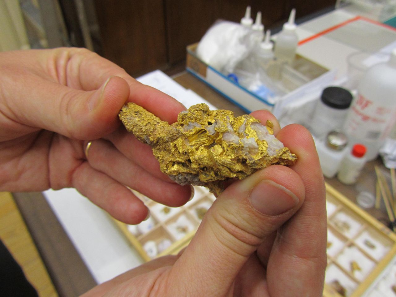 Una de las pepitas de oro