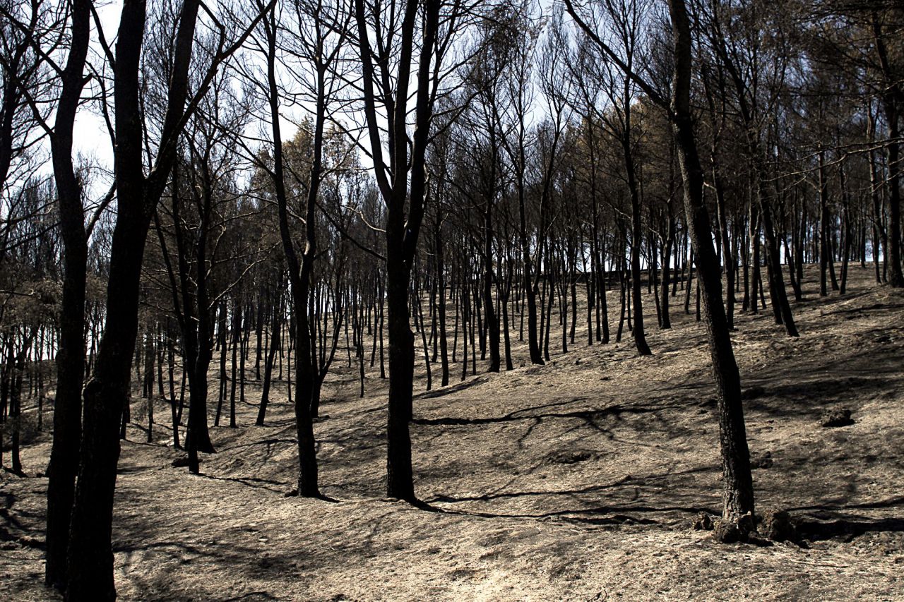 Incendio forestal en el parque regional del sureste en el municipio de Rivas