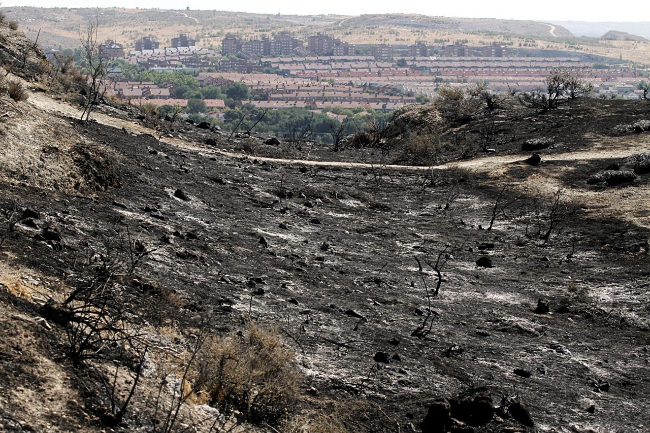 Incendio forestal en el parque regional del sureste en el municipio de Rivas-Vaciamadrid.