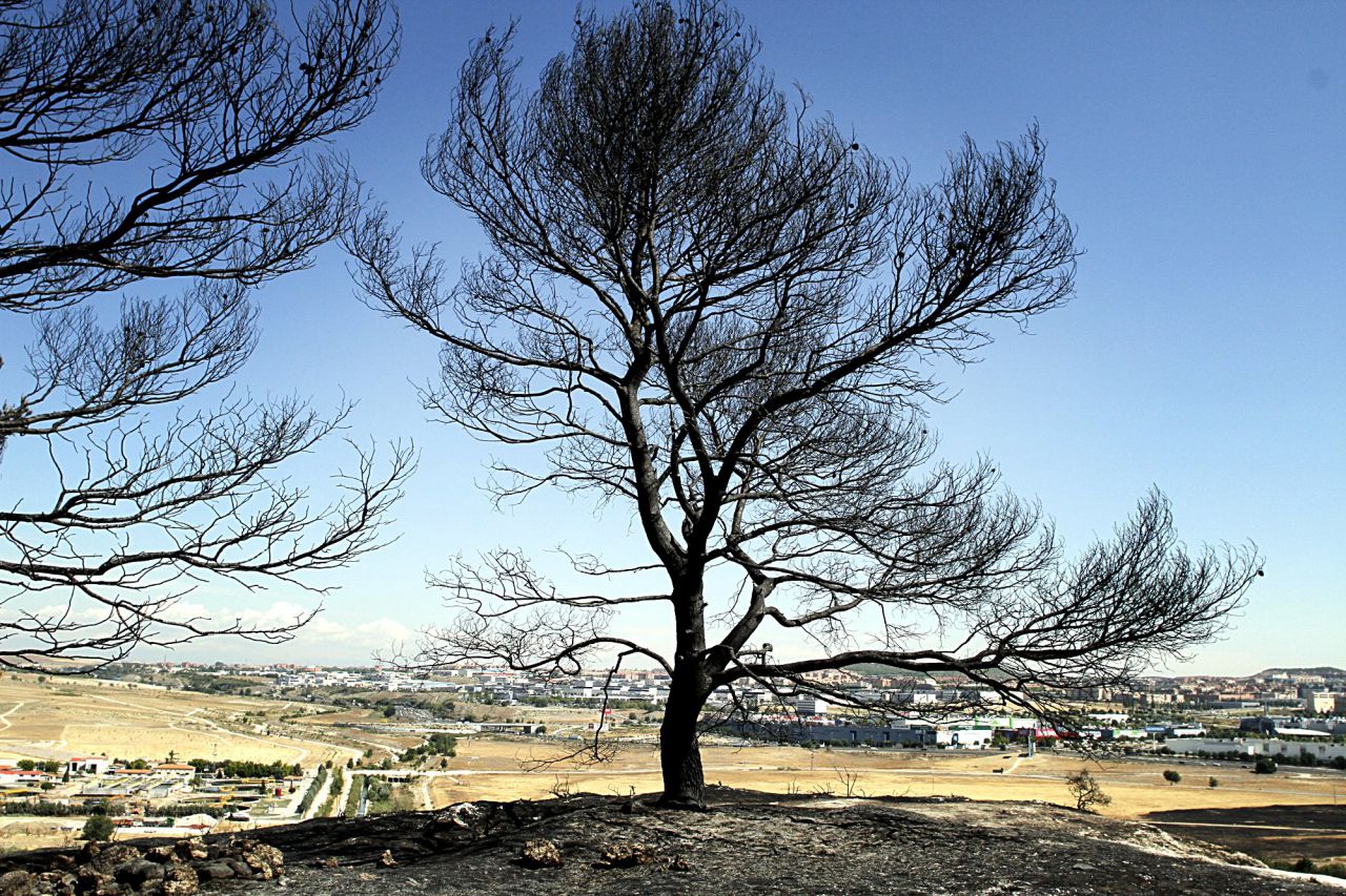 Incendio forestal en el parque regional del sureste en el municipio de Rivas