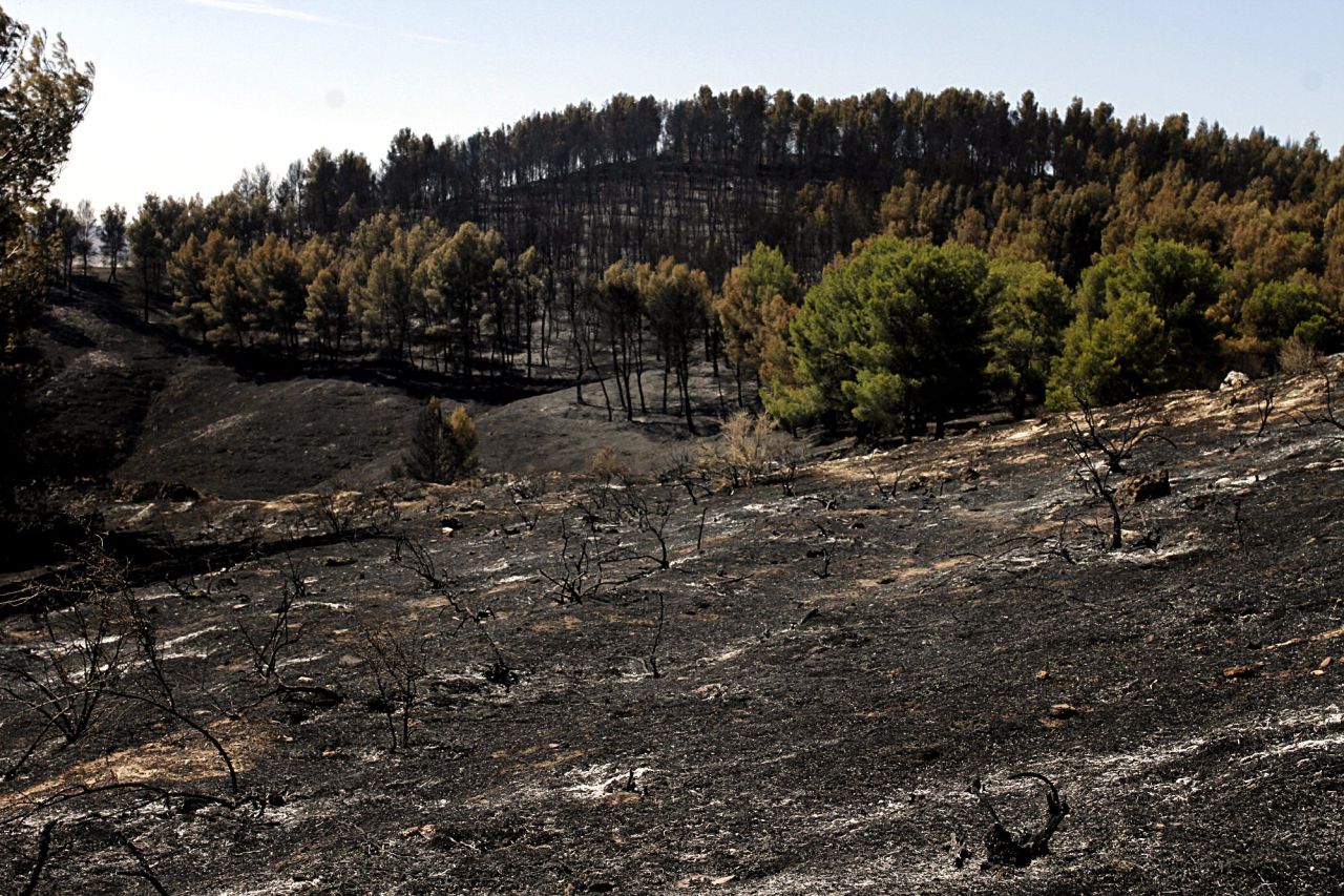 Incendio forestal en el parque regional del sureste en el municipio de Rivas