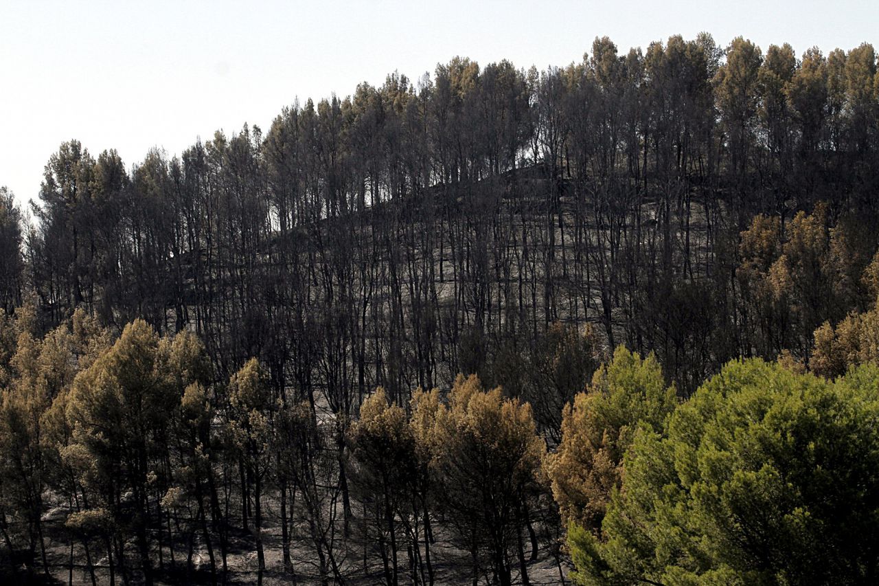 Incendio forestal en el parque regional del sureste en el municipio de Rivas