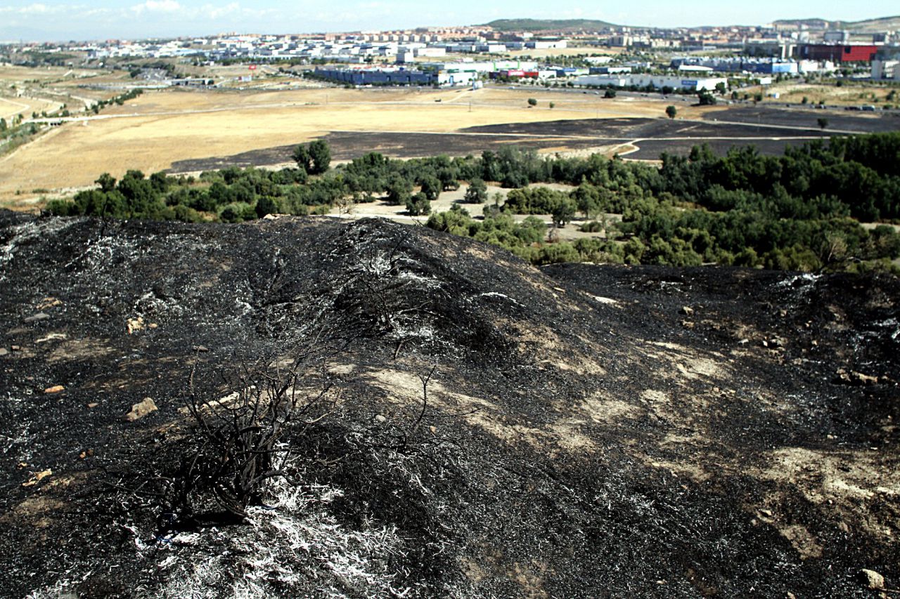 Incendio forestal en el parque regional del sureste en el municipio de Rivas