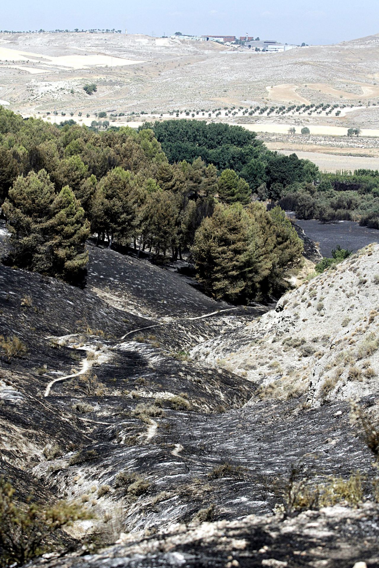 Incendio forestal en el parque regional del sureste en el municipio de Rivas