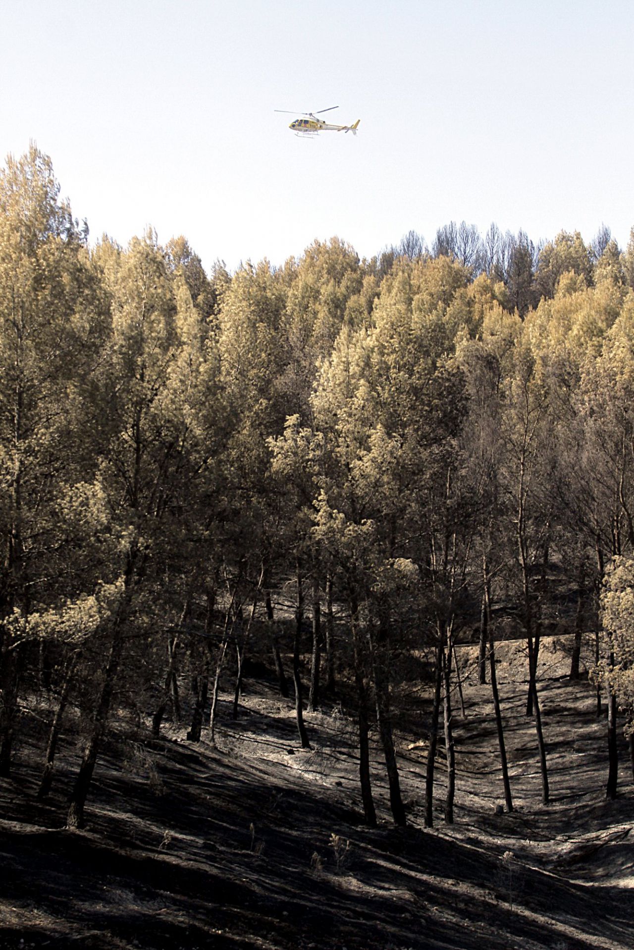 Incendio forestal en el parque regional del sureste en el municipio de Rivas