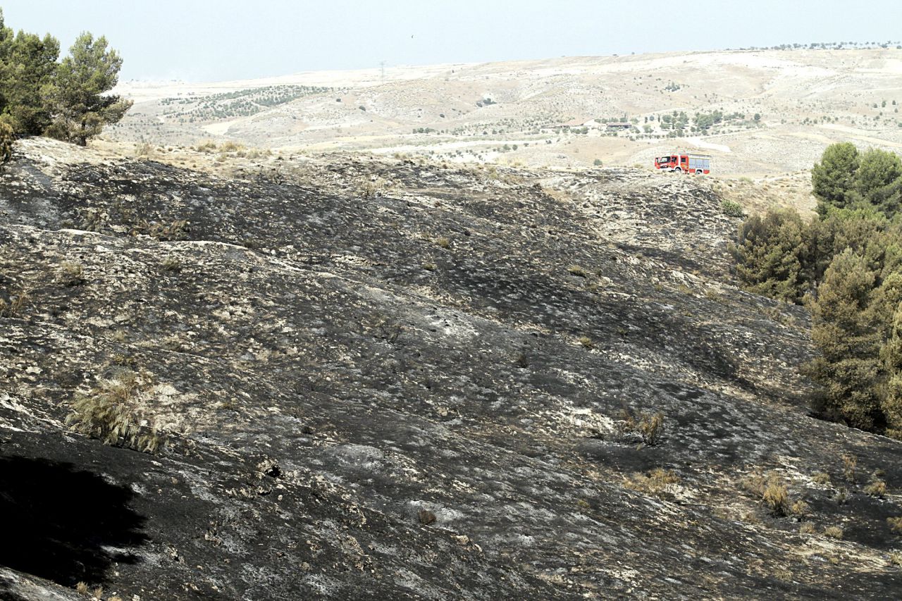 Incendio forestal en el parque regional del sureste en el municipio de Rivas