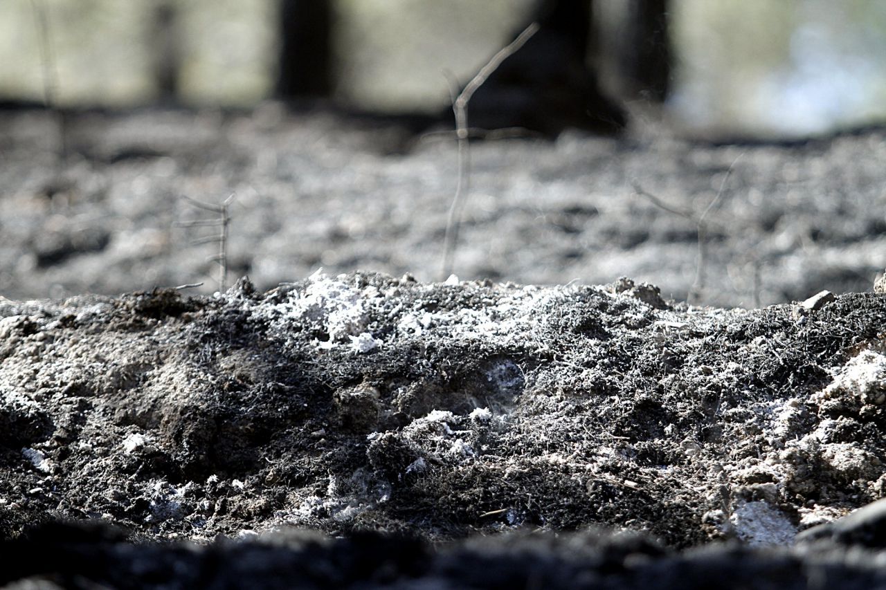 Incendio forestal en el parque regional del sureste en el municipio de Rivas