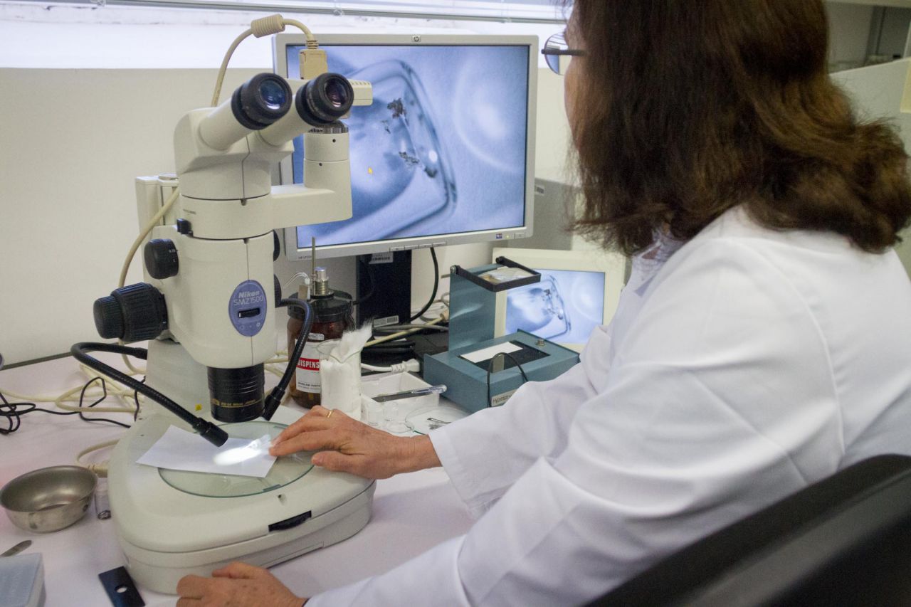 Carmen Muro observa con microscopio un muestra.