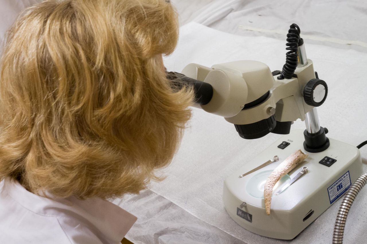 Lunes de trabajo conservación y restauración en el Museo Arqueológico Nacional.