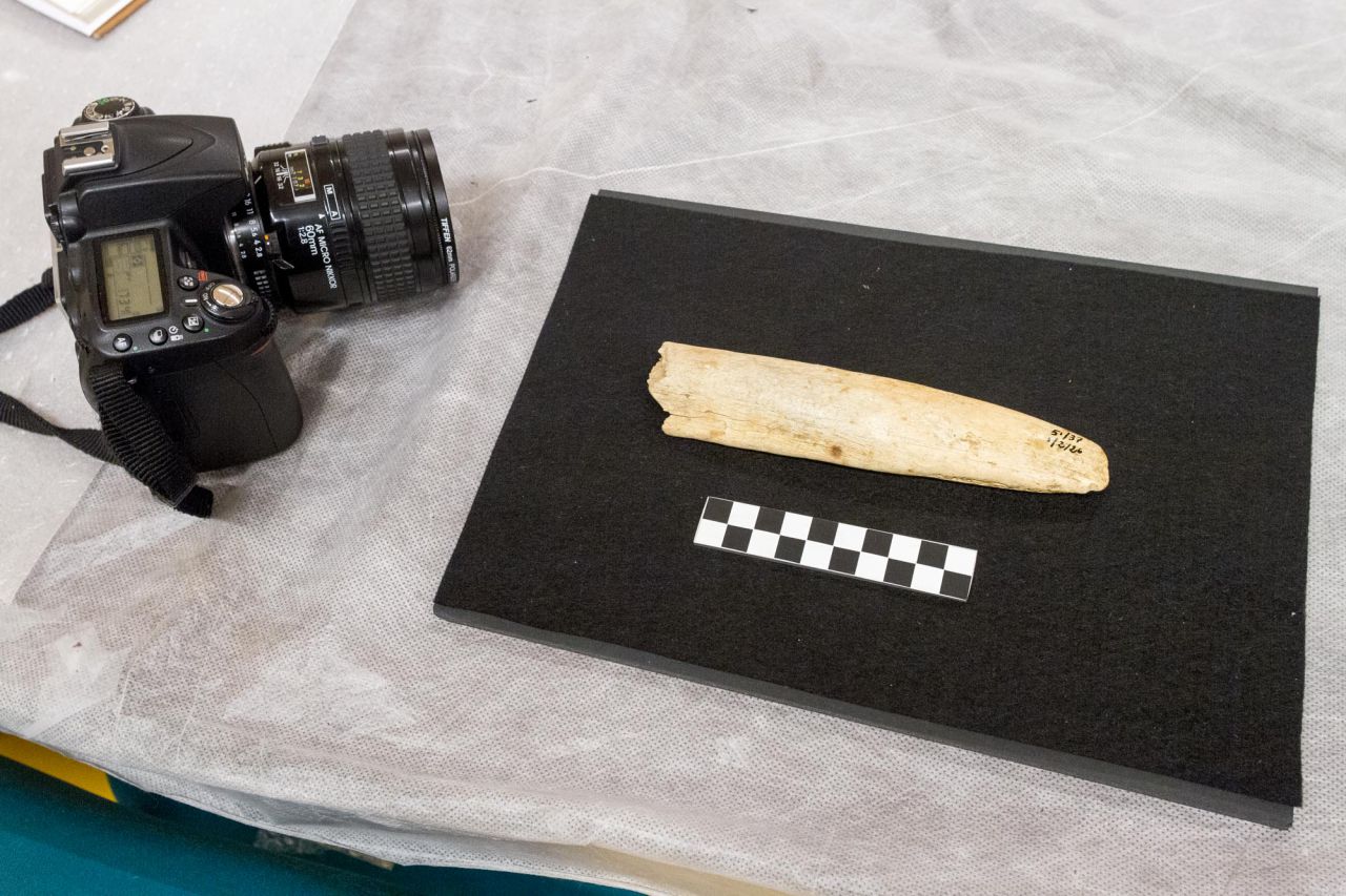Lunes de trabajo conservación y restauración en el Museo Arqueológico Nacional.