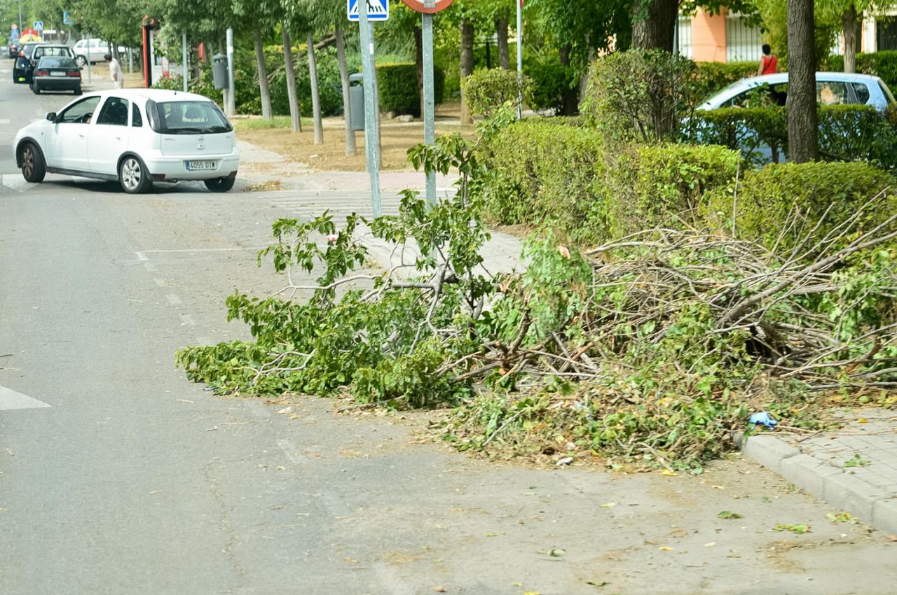 Árboles y destrozos producidos por la tormenta en Aranjuez