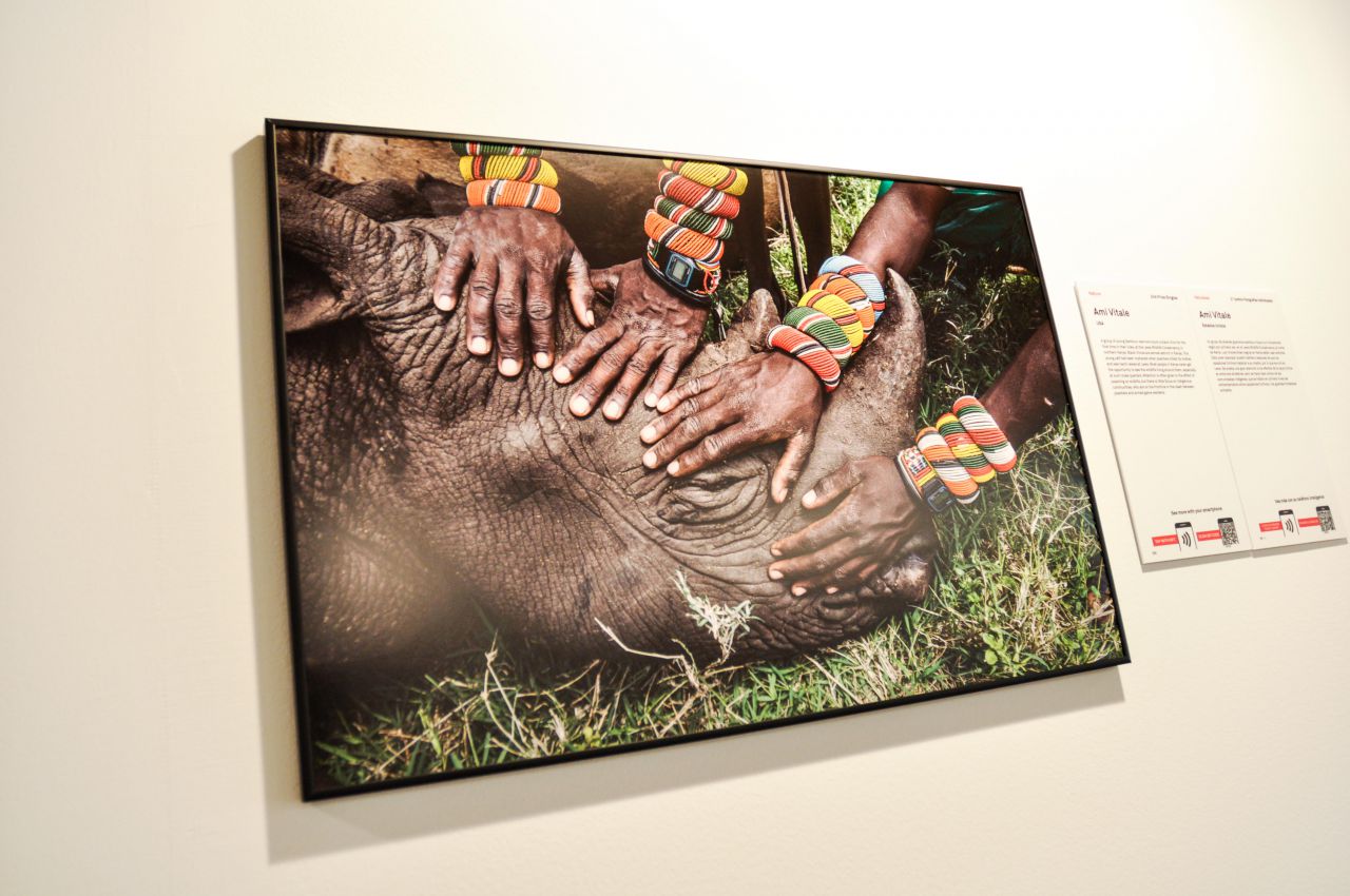 Exposición World Press Photo 2015