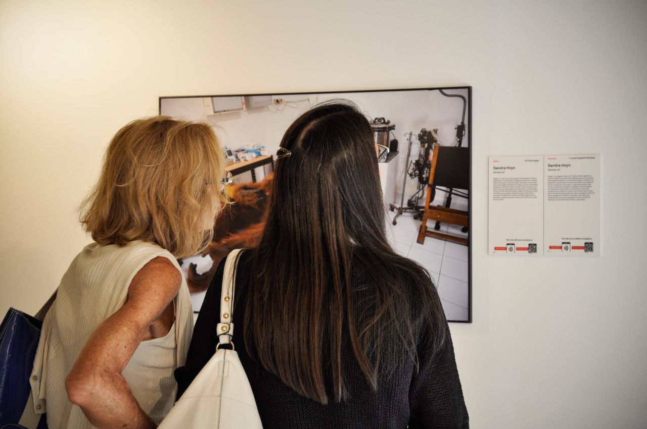 Exposición World Press Photo 2015