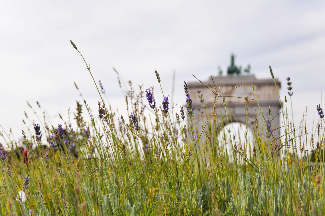 Desperfectos en el Arco de la Victoria de Moncloa.