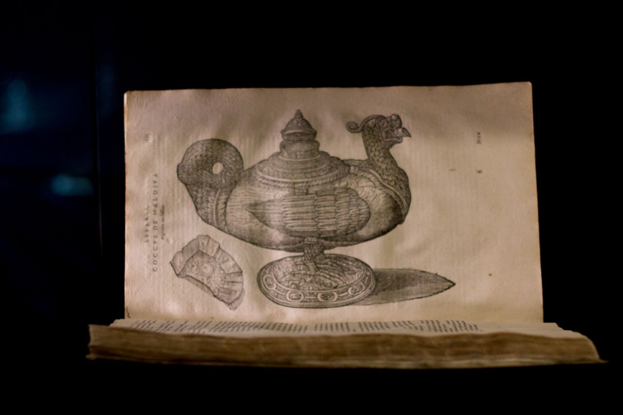 Exposición temporal 'Arte Transparente', con obras del Renacimiento, en el Museo del Prado.