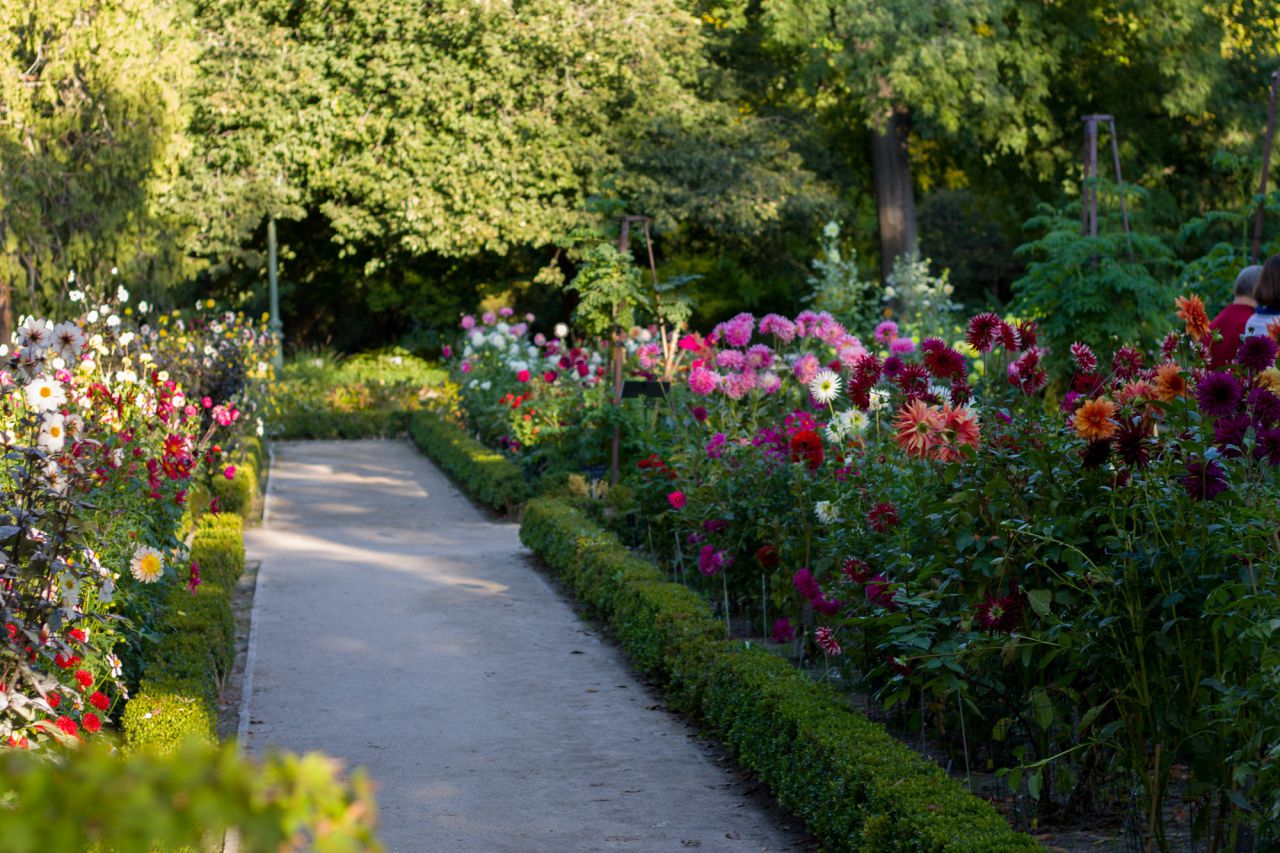 260 aniversario del Jardín Botánico de Madrid