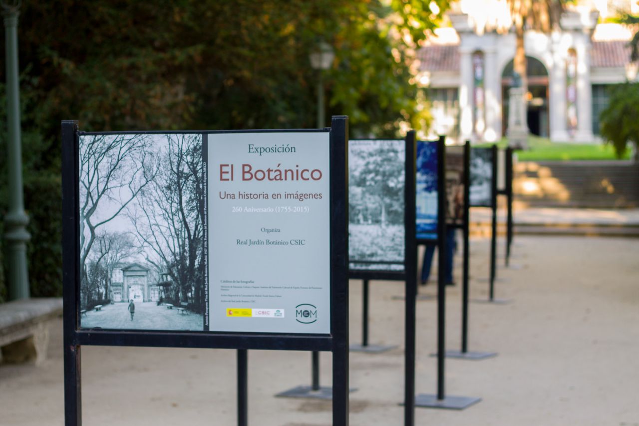 260 aniversario del Jardín Botánico de Madrid