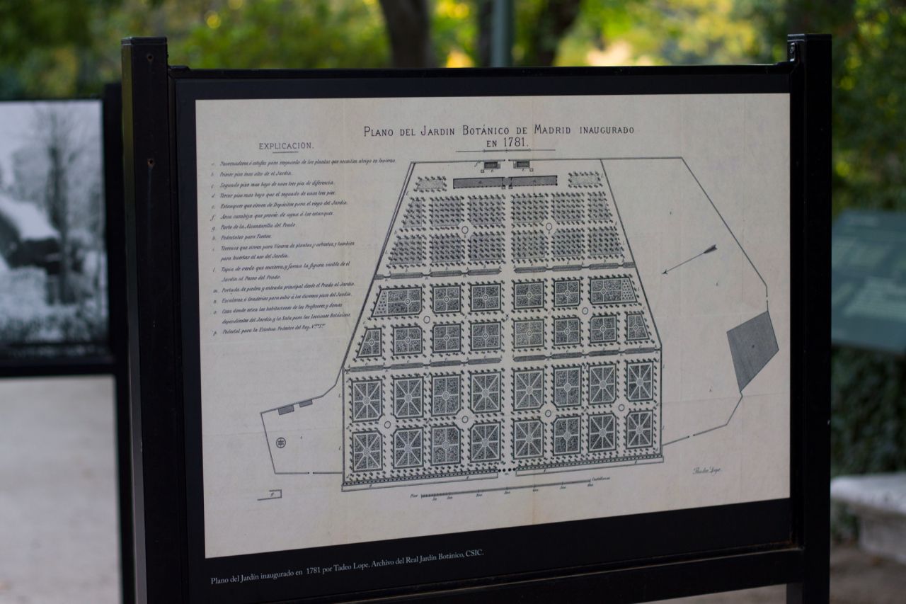 260 aniversario del Jardín Botánico de Madrid