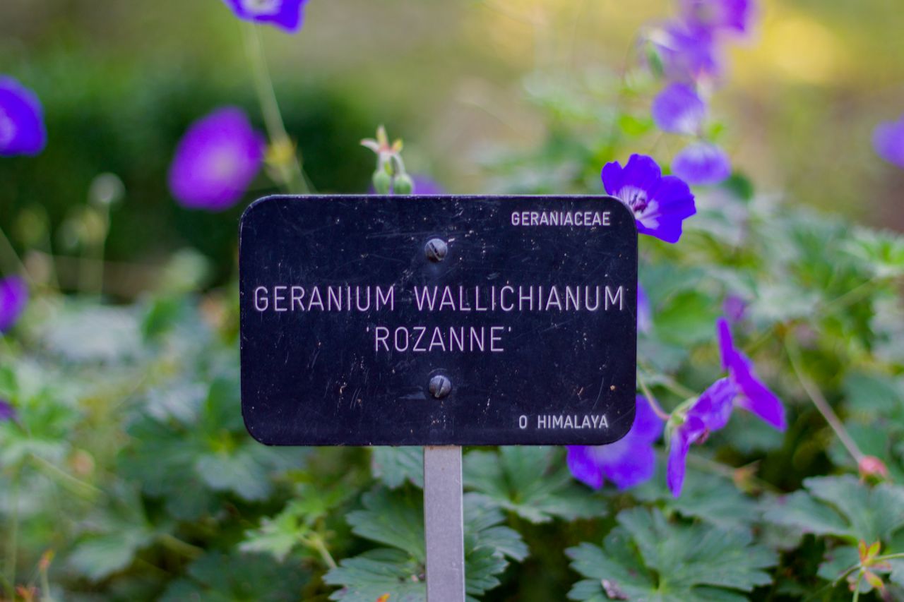 260 aniversario del Jardín Botánico de Madrid