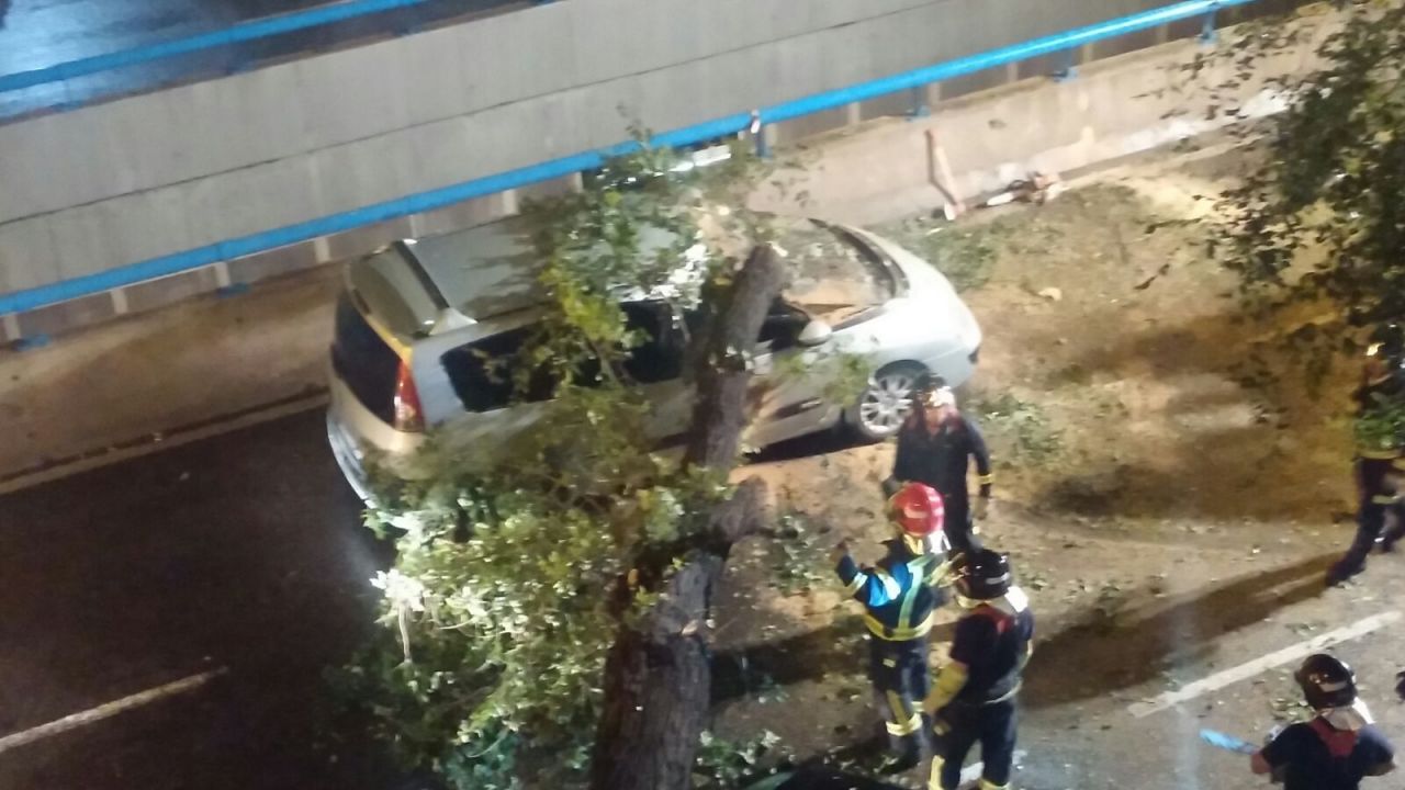 Cae un árbol sobre dos coches aparcados y uno que venía circulando en Embajadores