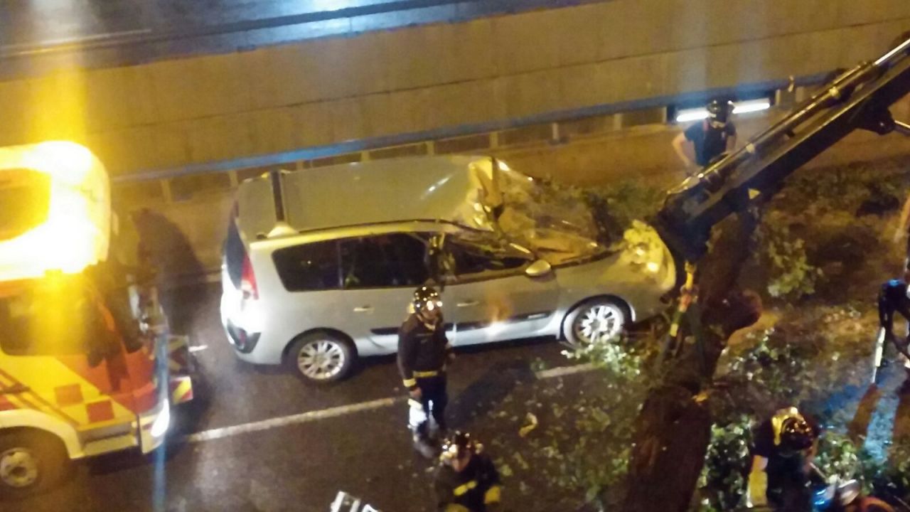 Cae un árbol sobre dos coches aparcados y uno que venía circulando en Embajadores