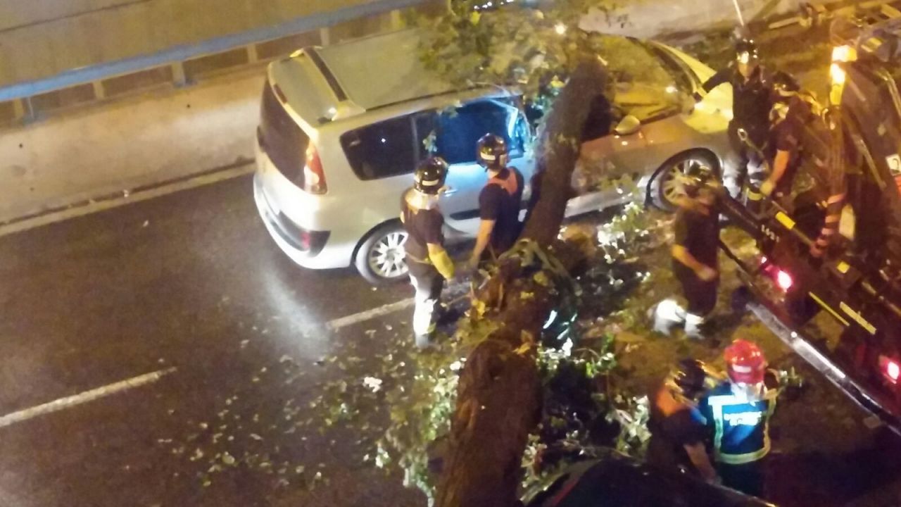 Cae un árbol sobre dos coches aparcados y uno que venía circulando en Embajadores