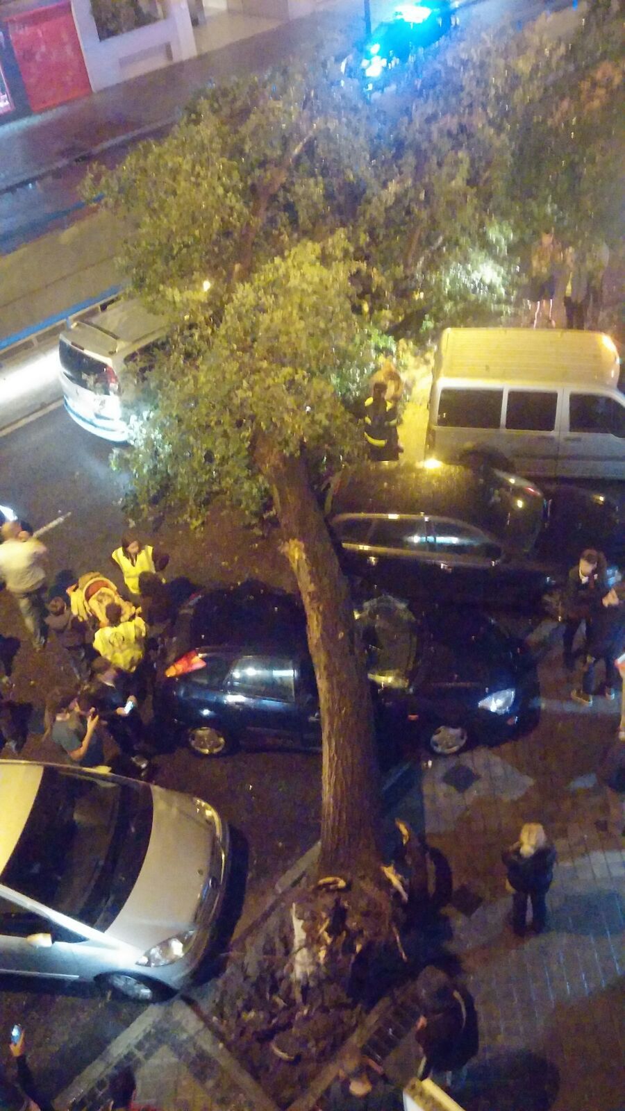 Cae un árbol sobre dos coches aparcados y uno que venía circulando en Embajadores