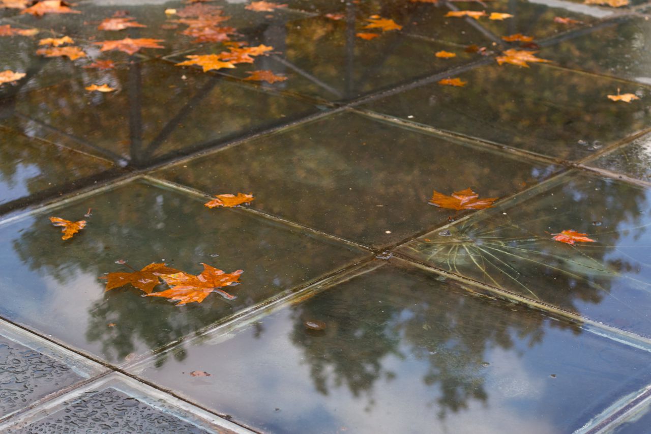 Charco con hojas secas en un día de lluvia en Madrid