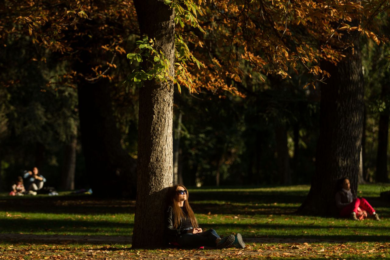 Rayos  de sol vespertinos en El Retiro