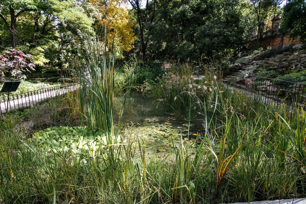 Se ubica entre la zona de la huerta y el Jardín de Invierno, junto a la rocalla, y ha contado con la colaboración de la empresa pública Canal de Isabel II.