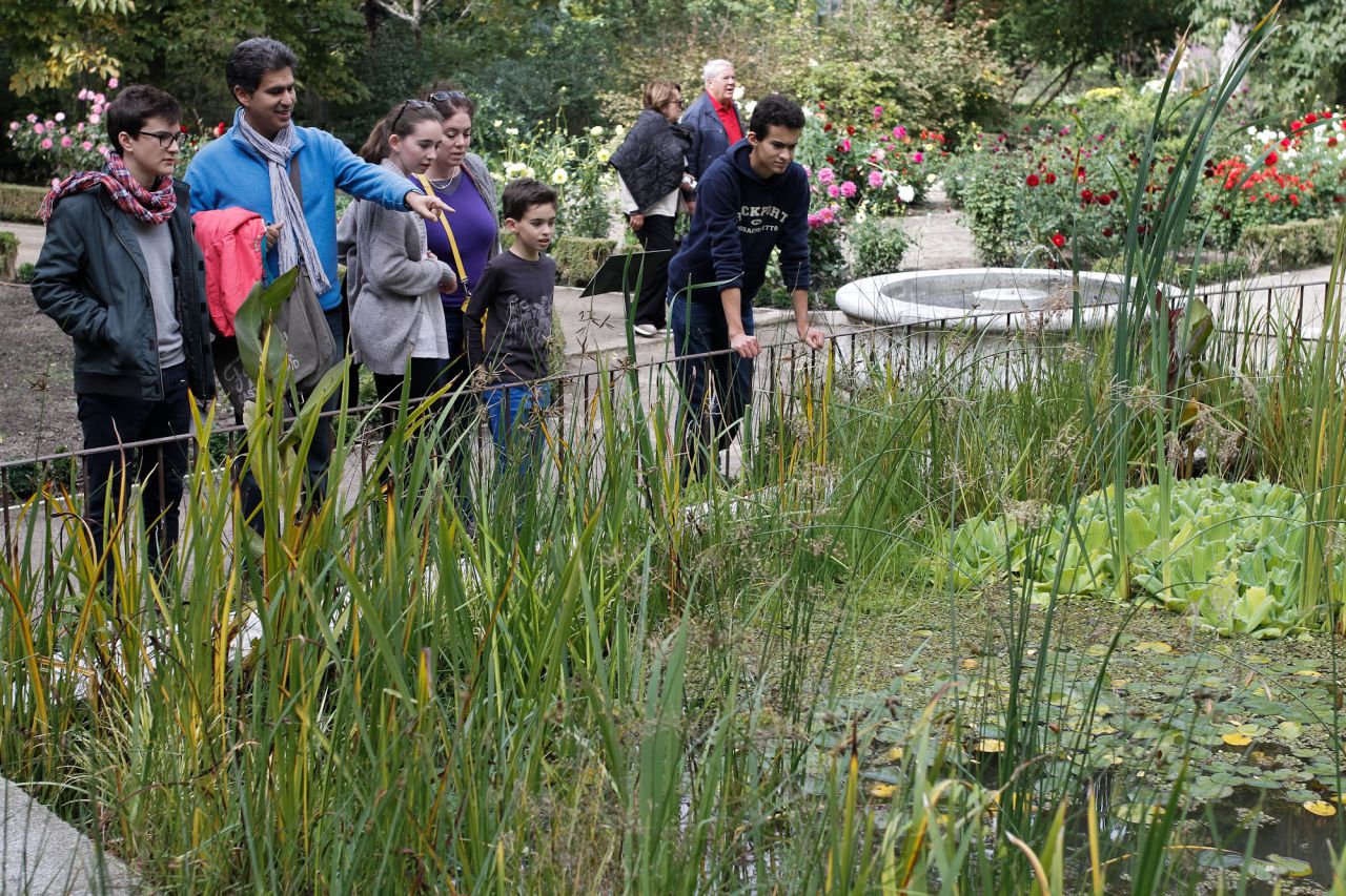 Los visitantes descubrirán especies de plantas acuáticas sumergidas, flotantes y emergentes, así como su capacidad para depurar el agua.