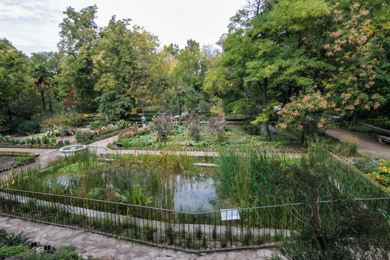 Santos Cirujano Bracamonte, del Real Jardín Botánico y miembro del Grupo de Investigación del Agua ha explicado que con el estanque se trata de 