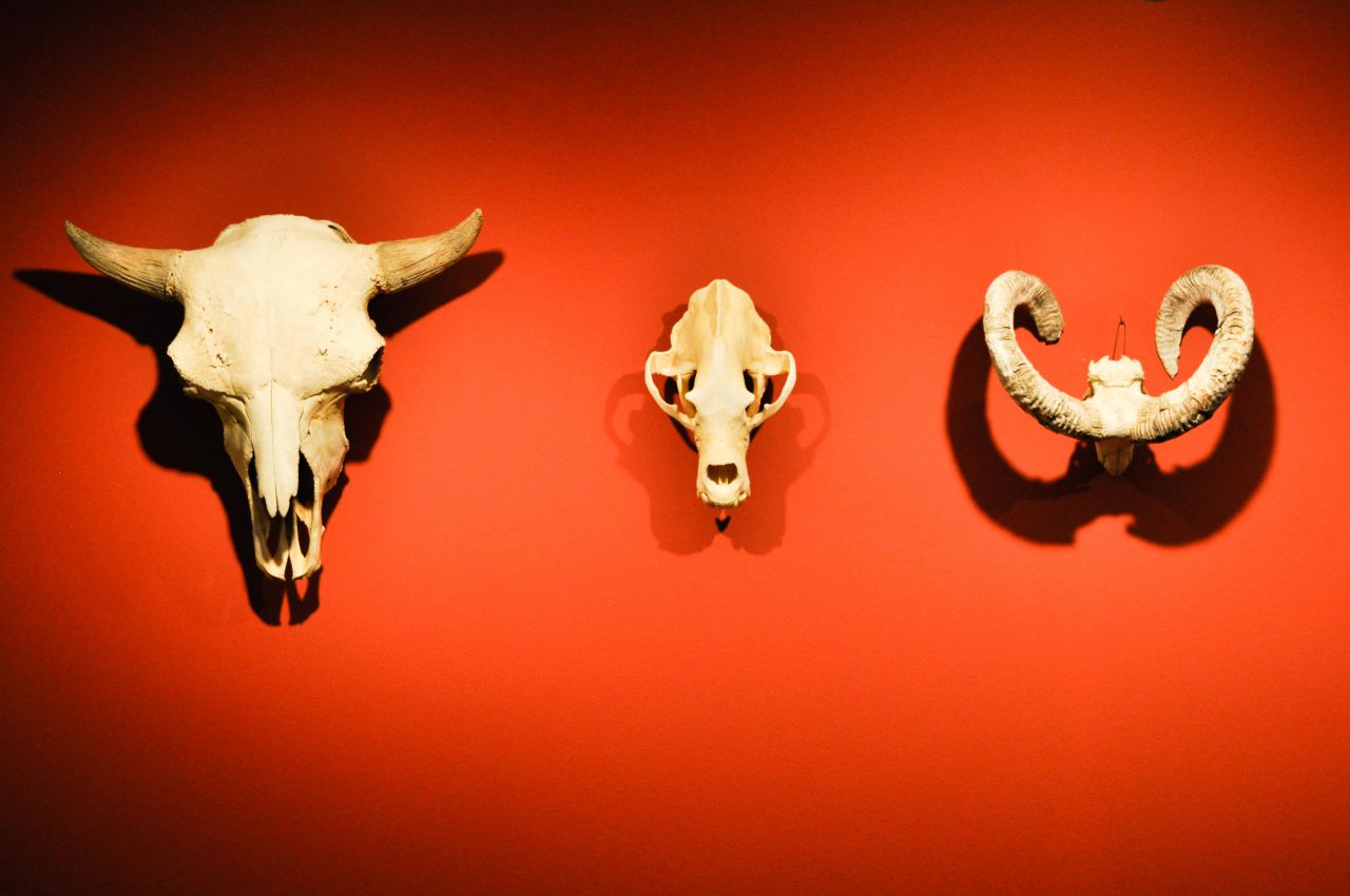 Presentación de la exposición 'La ilusión del lejano oeste'. Museo Thyssen Bornemisza.
