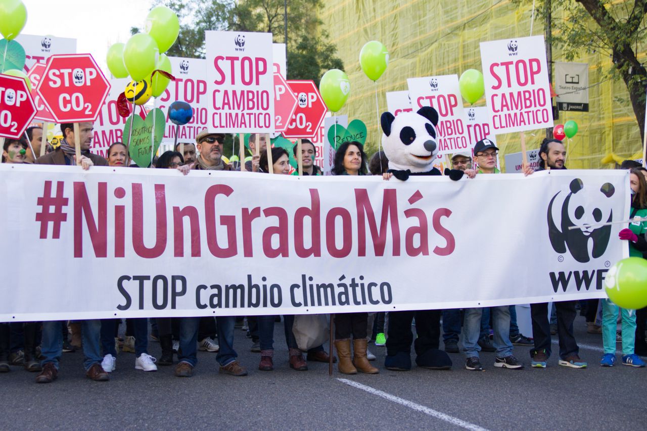 Manifestación por el clima.