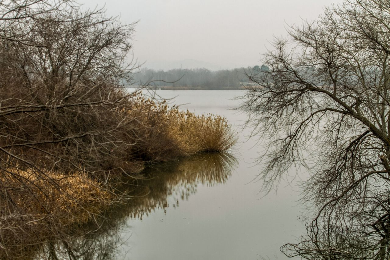 Laguna de El Campillo.