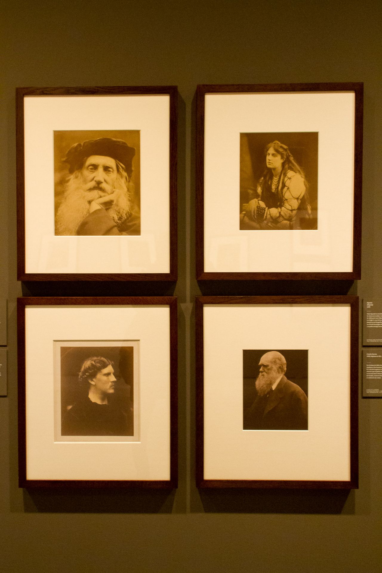 Retratos a personajes conocidos de la época, entre ellos a Charles Darwinen 1868 e impreso en 1875.