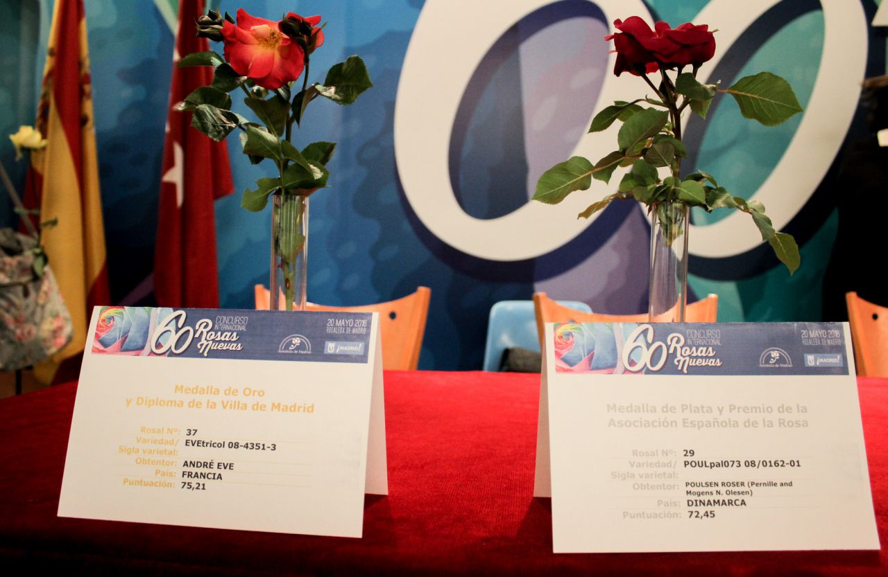 Rosas ganadoras del concurso.