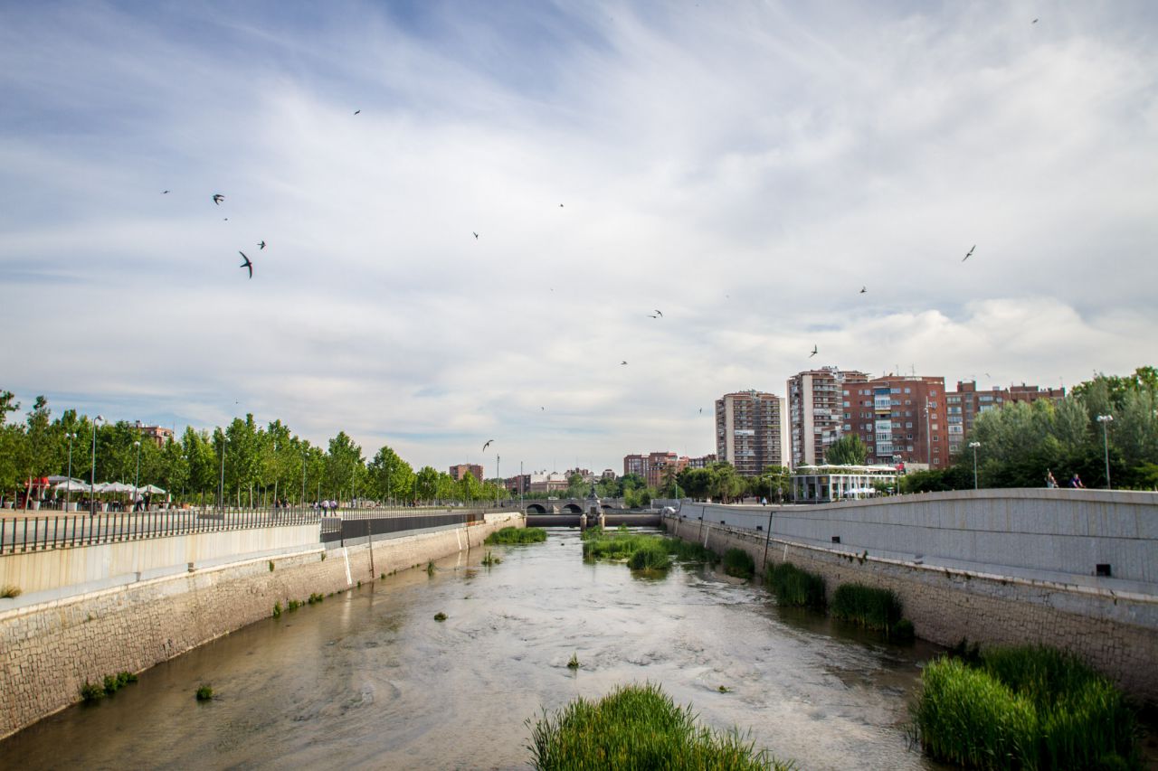 Una bandada de golondrinas sobrevuela el río.