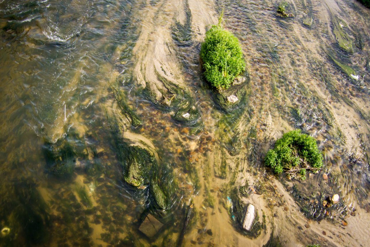 Lecho del río.