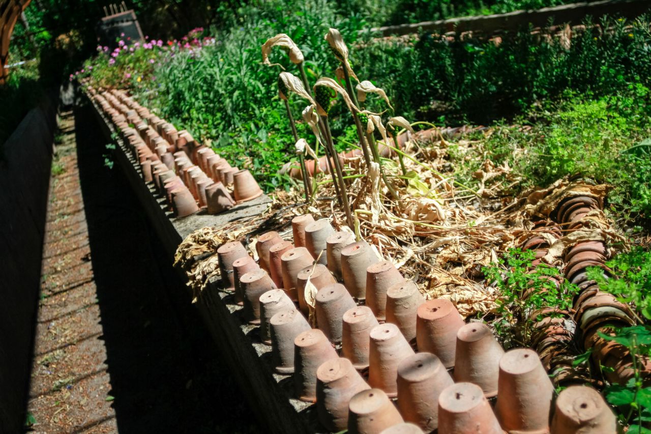 En la finca se encontraron 9.000 macetas de la época del marqués de Bedmar
