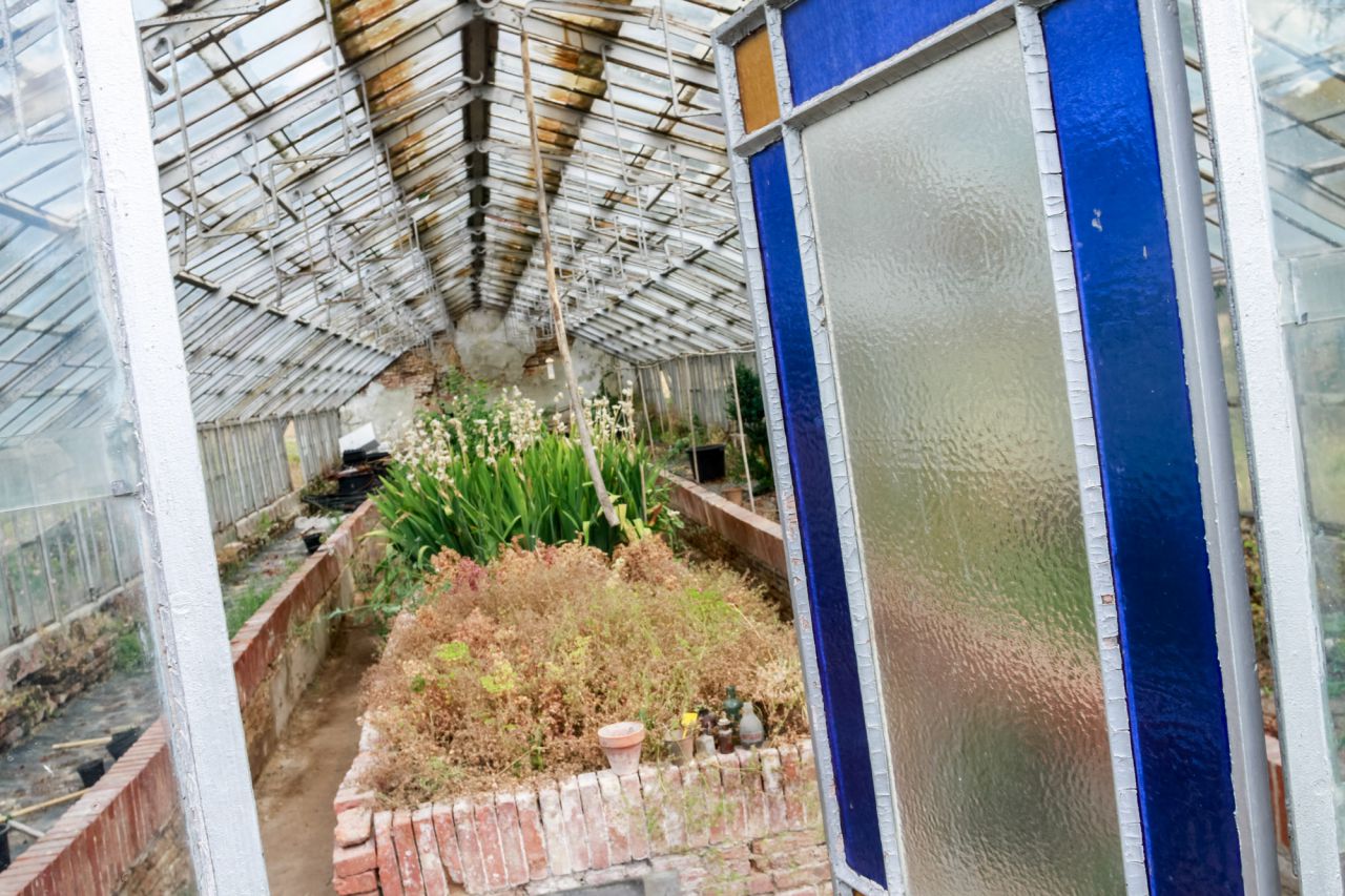 Interior de un invernadero de principios del siglo XX